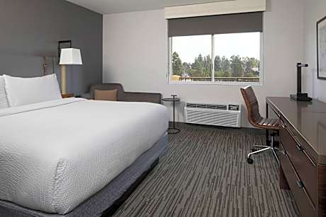 Room, 1 King Bed