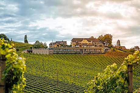 Weinrefugium Brolli