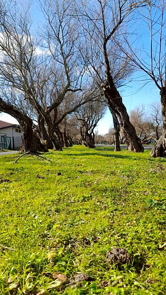 Résidence Mes Amours d'Enfants - Les Villas du Lac