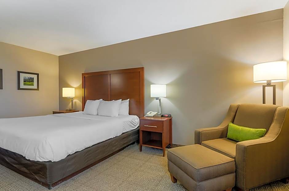Comfort Inn Blacksburg University Area