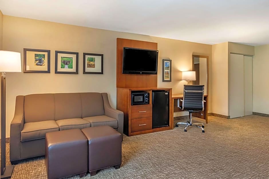 Comfort Inn Petersburg - Fort Lee
