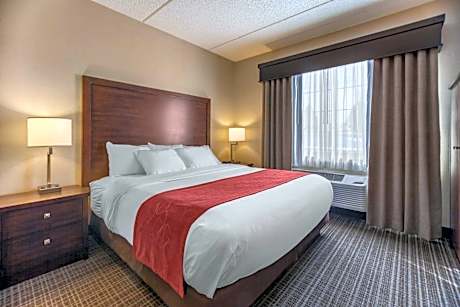 1 King Bed, Suite, Nonsmoking, Upgrade