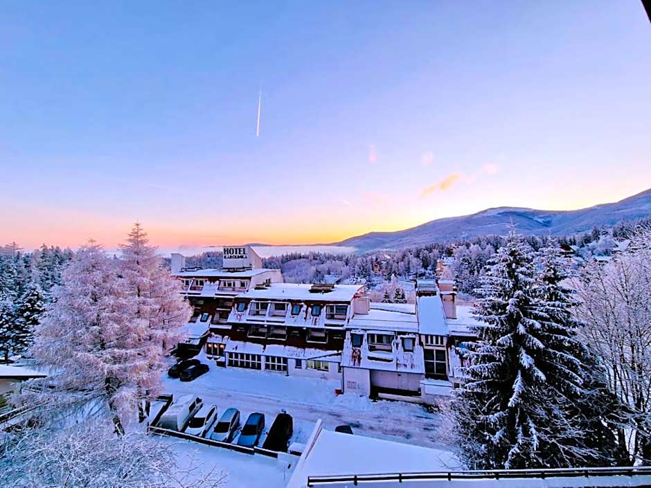 Karpacki & SPA - blisko wyciągu, Restauracja, Sala Zabaw, Bar 24h