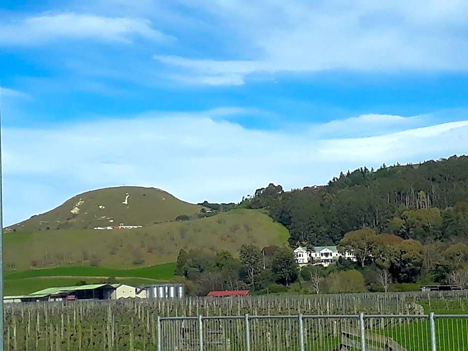 Hidden Gem in Oaklands