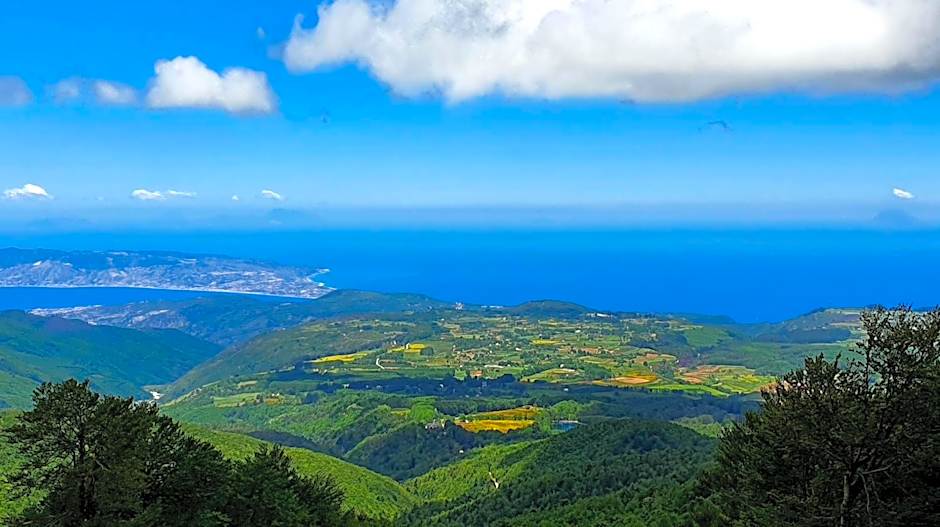 Park Hotel Bellavista