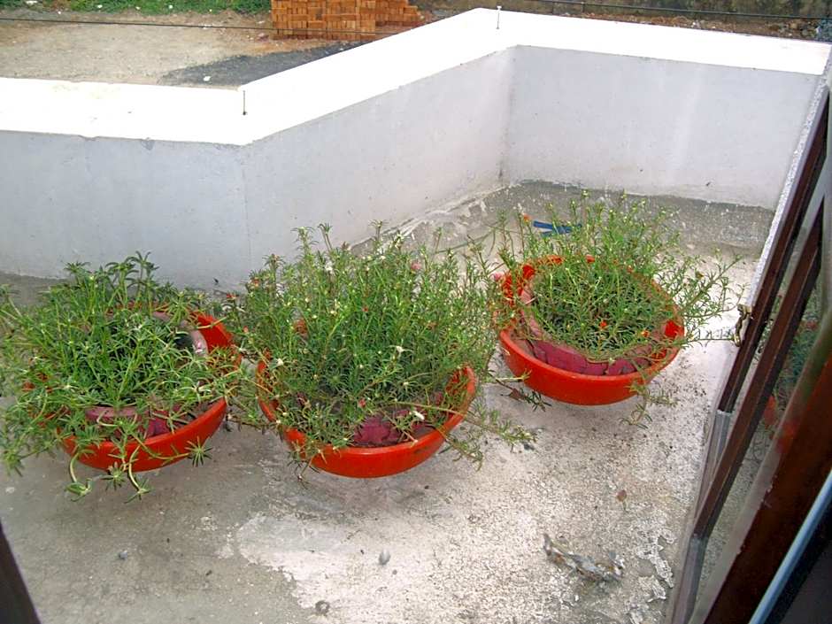 Elim Homestay Fort Kochi