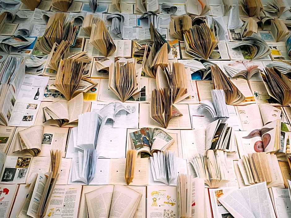 Ibis Styles Pocos De Caldas