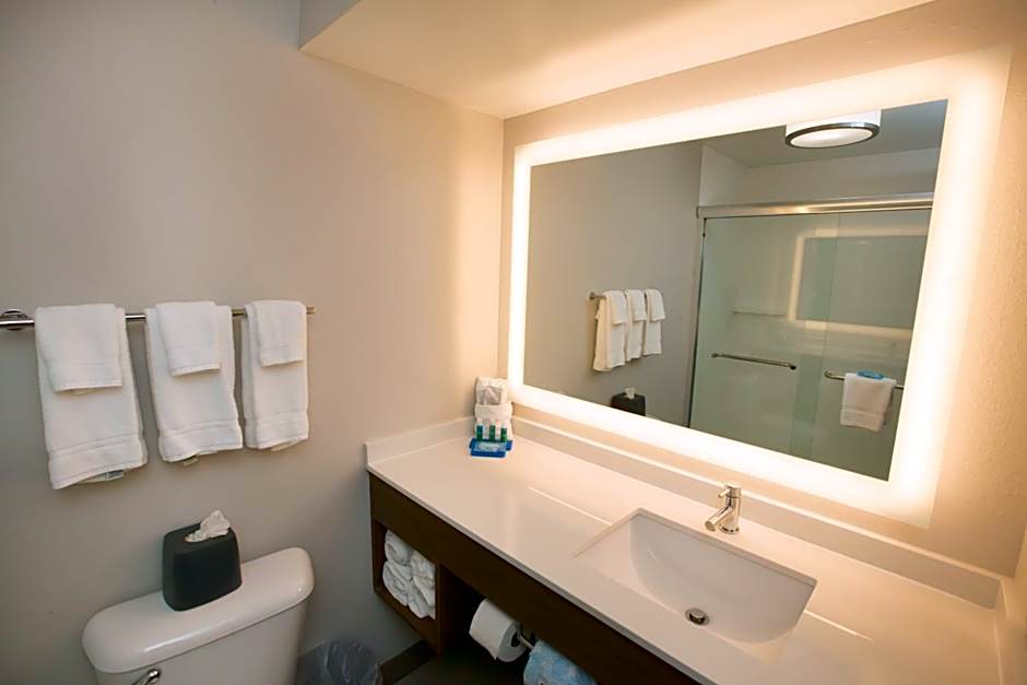 Holiday Inn Express Hotel & Suites Madison By IHG