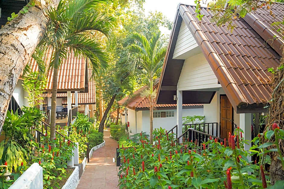 Tok Little Hut