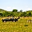 Mabula Game Lodge