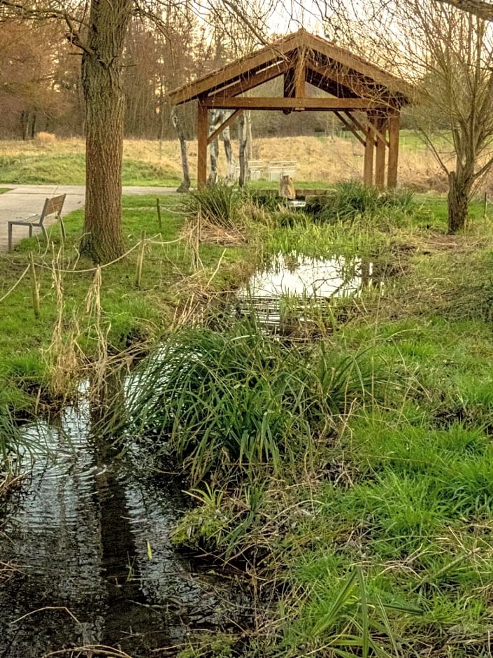 le domaine des drôles de dames