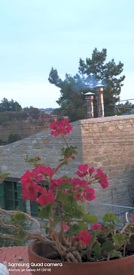 Ble Mavi - Studio for 2