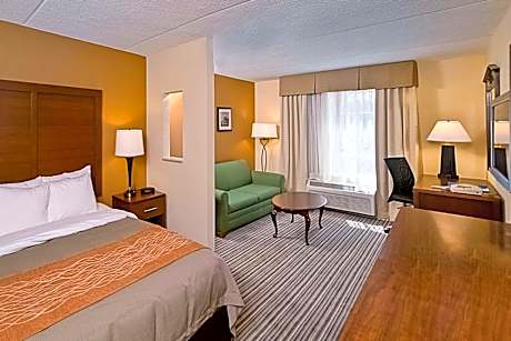 1 Queen Bed, Nonsmoking