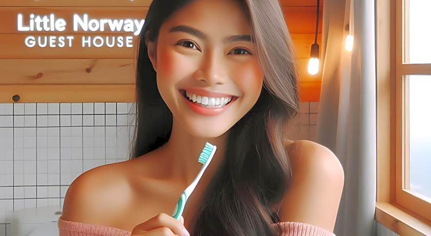 Little Norway Guest house