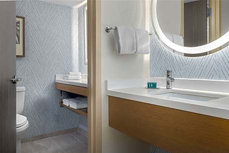 2 Dbl Mobility/Hearing Accessible Bathtub