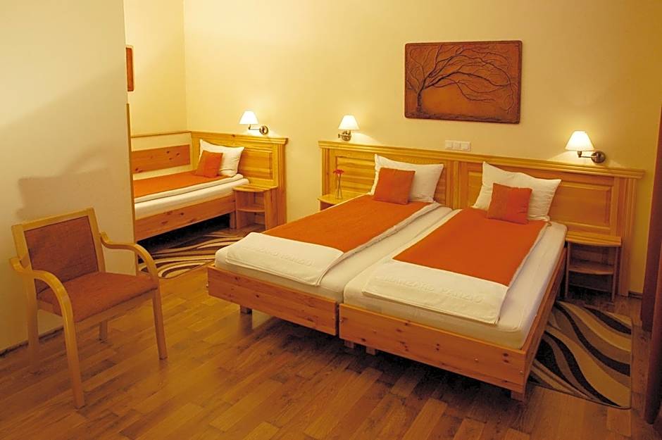 Hotel Manzard Panzio