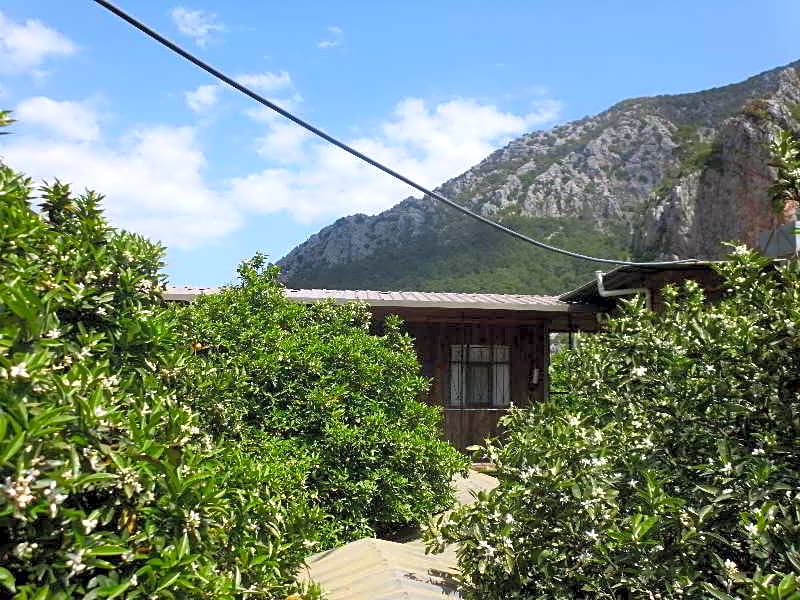 Orange Bungalows Hotel