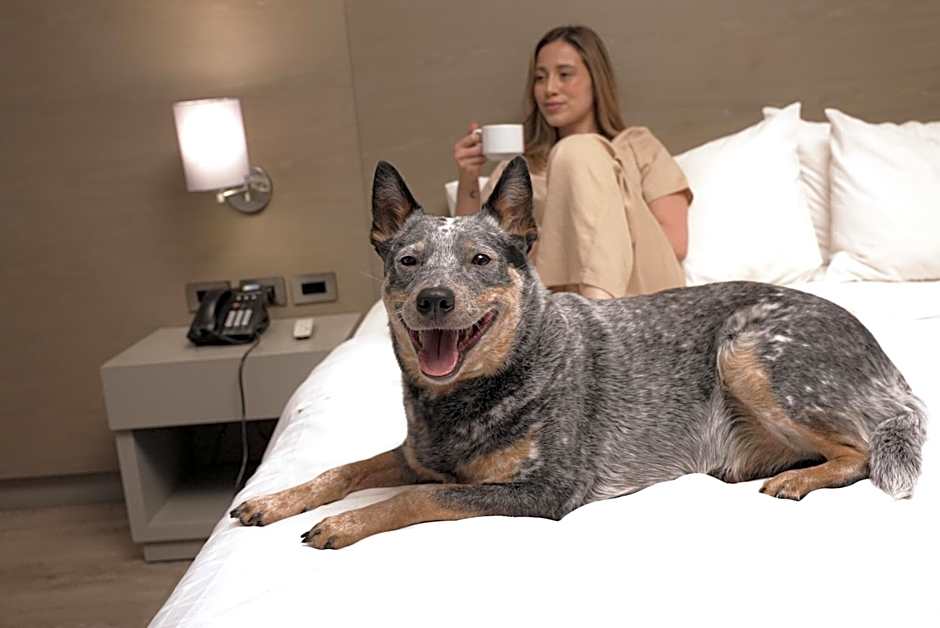 Hotel Holiday Inn Express Bogota By IHG
