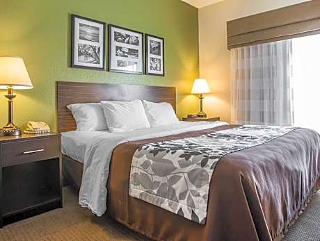 1 King Bed Nonsmoking