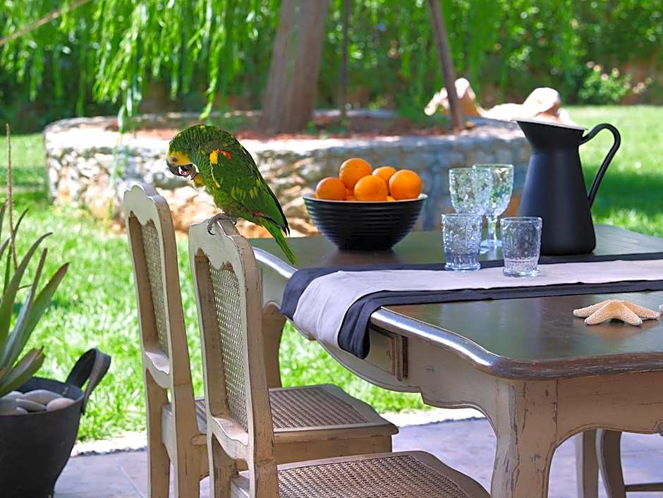 Sunvillage Malia Suites