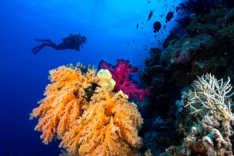 Club Paradisio El Gouna