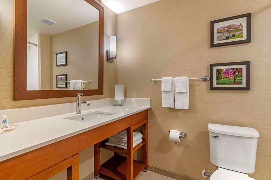 Comfort Suites Camp Hill-Harrisburg West