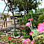 Hôtel restaurant Mon Auberge