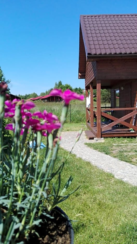 Domki Letniskowe Oaza Wicie