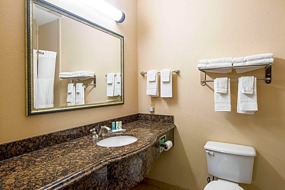 Quality Inn & Suites Robstown