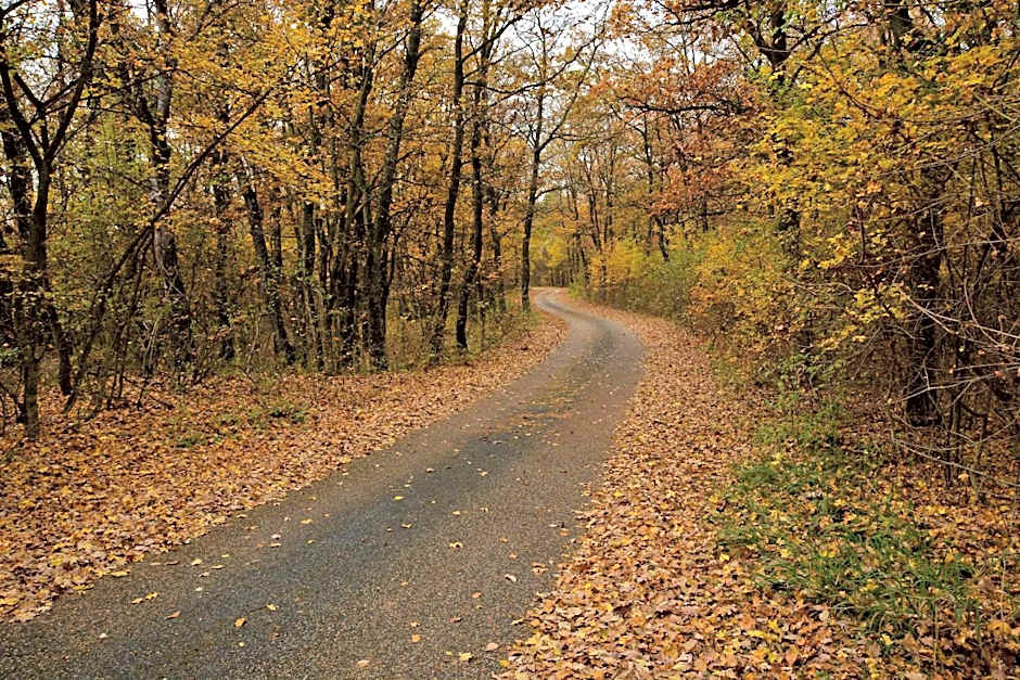 Cseri Kastélyszálló