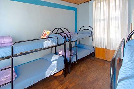 6-Bed Mixed Dormitory Room
