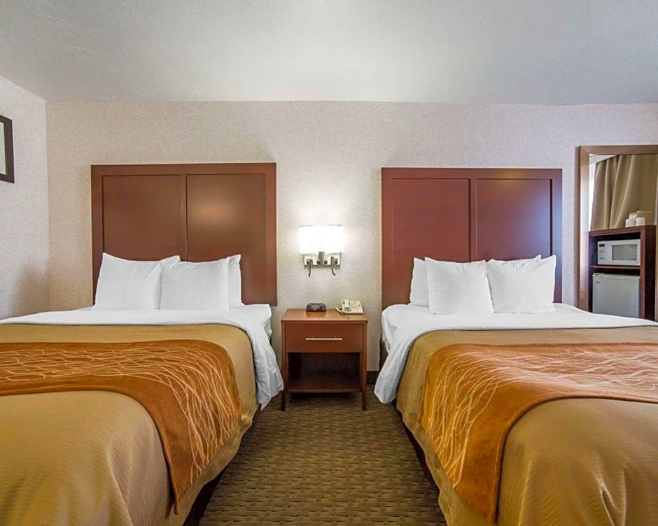 Comfort Inn Elko