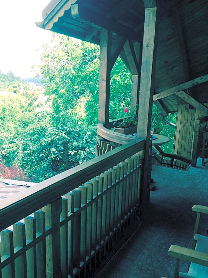 Pension Brasovu Vechi