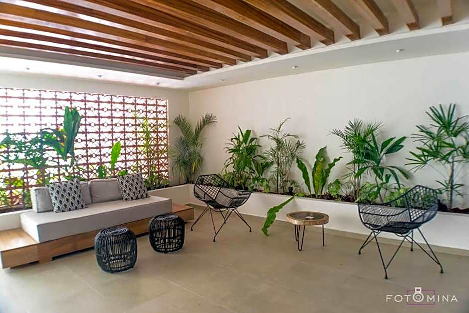 Solea 101