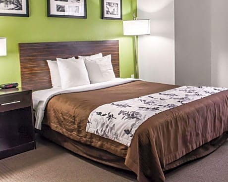 1 Queen Bed, Nonsmoking
