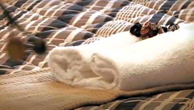 Clayton Monash Motor Inn & Serviced Apartments