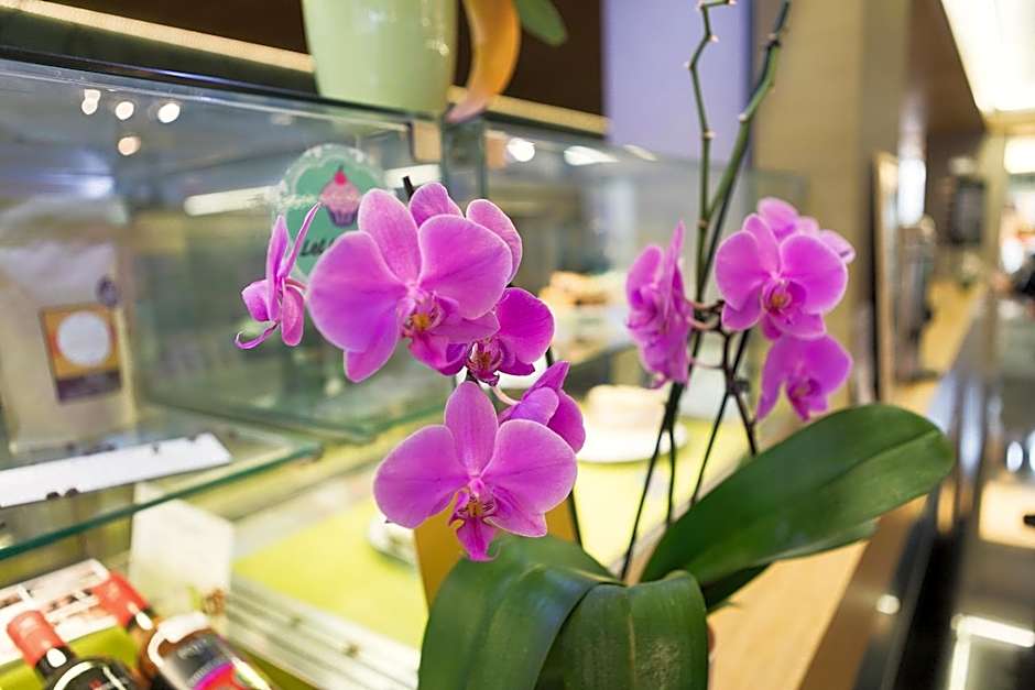 Hotel Zena Beauty & Shopping Center