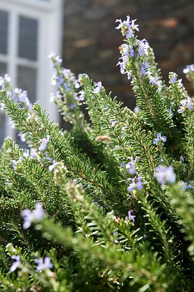 Gerofinikas Boutique Hotel