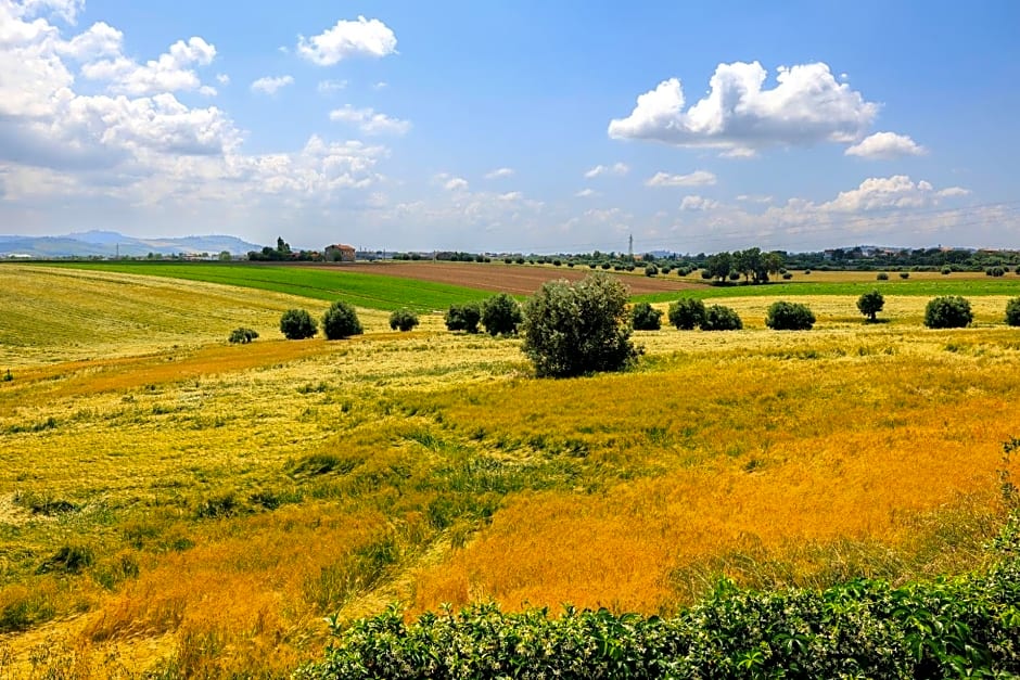 B&B Il Tiglio