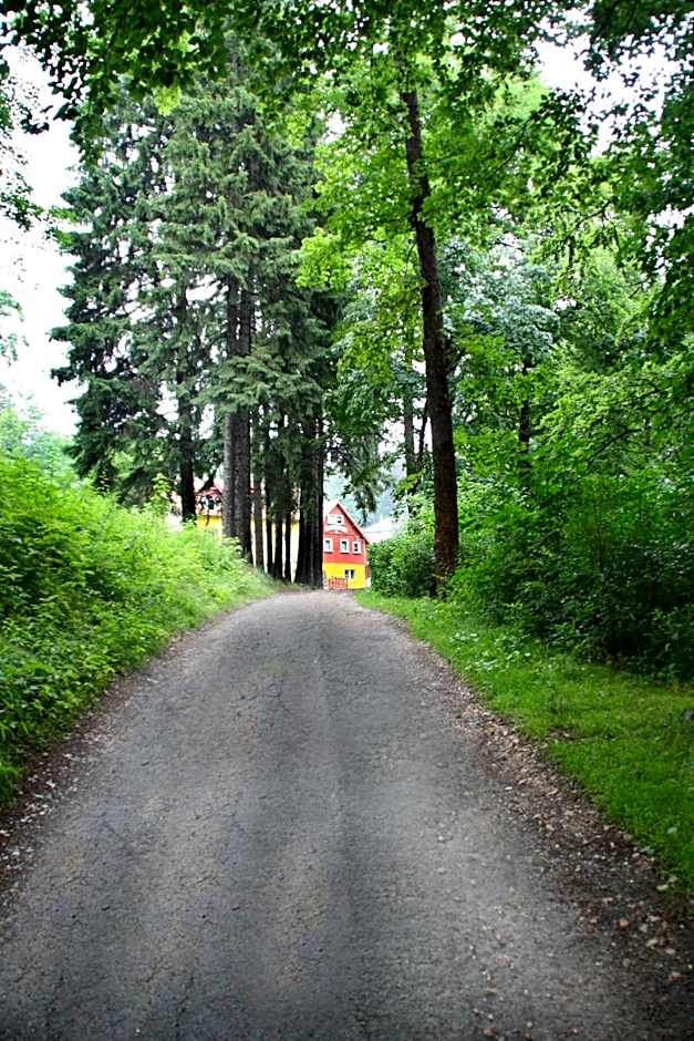 Harmont Montis- dawna Zającówka- IDEALNA lokalizacja - leśna enklawa w centrum miasta! Sauna, masaże, zabiegi spa!