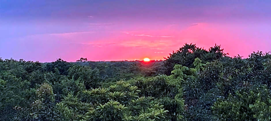 La Casa de María 11:11