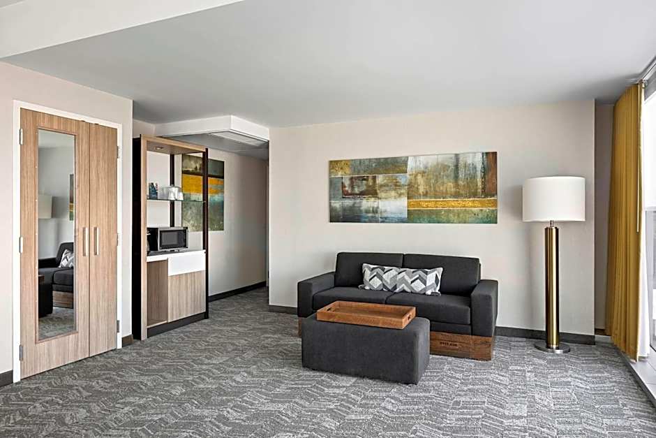 SpringHill Suites by Marriott Greenville Downtown