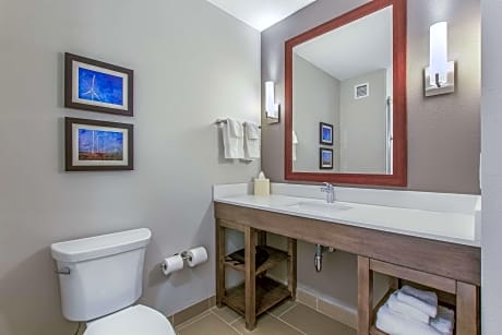 1 King Bed, Suite, Nonsmoking