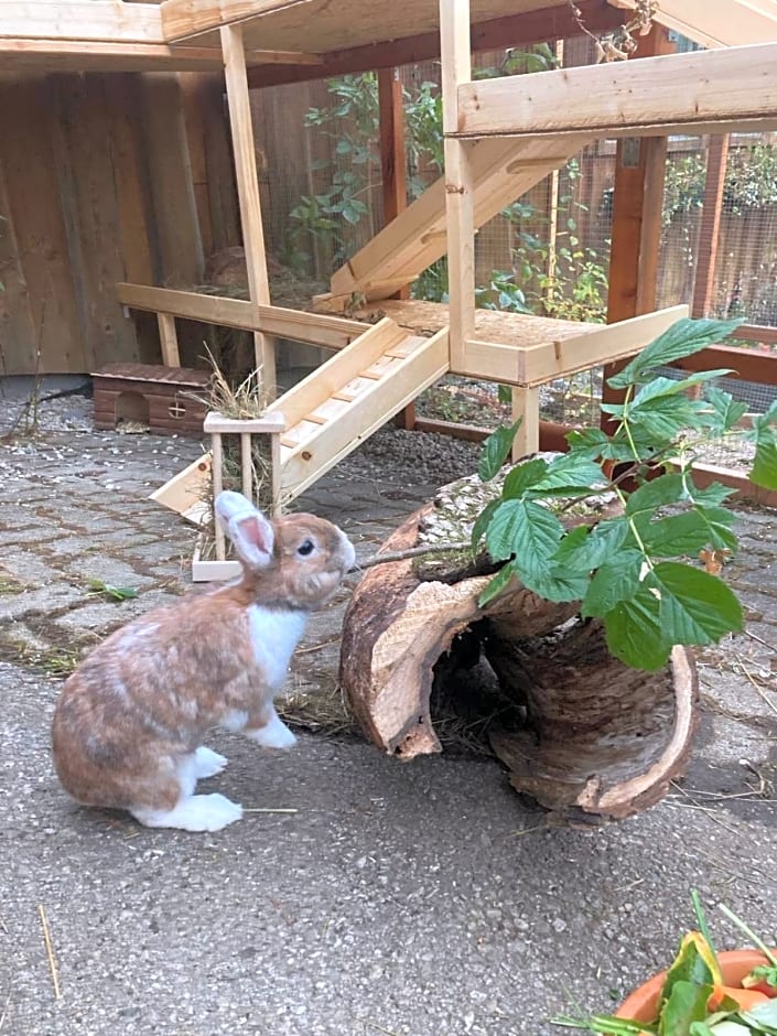 Ferienhaus FRIEDLHOF