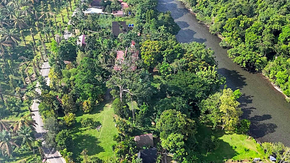 Green Forest Tangkahan