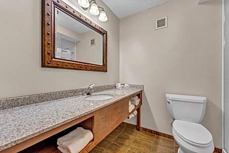 King Room with Sofa Bed