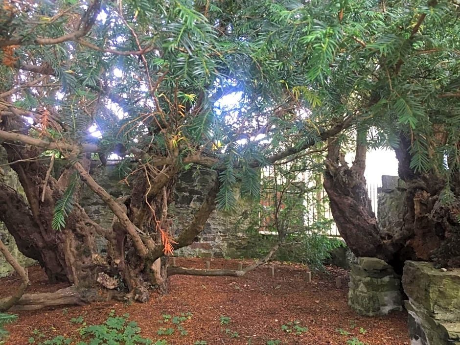 Cosy Rowan woodland lodge no3