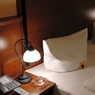 City Hotel Mercator