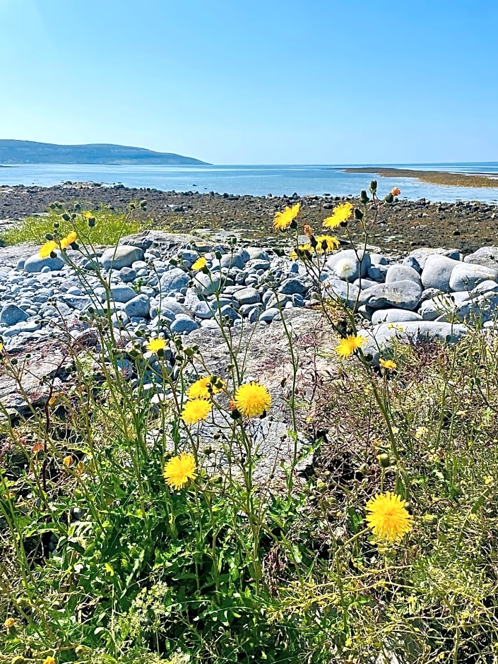 Cedar Lodge Self Catering Accommodation H91 CF9D