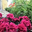 Apparthotel Ampertal